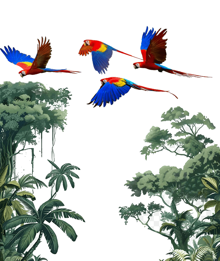 Macaws