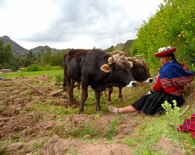 Sacred Valley