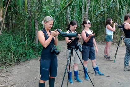 Tambopata National Reserve